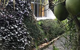 Casa Botanica Costa Rica